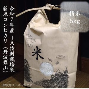 令和7年産新米  JA特別栽培米/丹波篠山コシヒカリ【精米 5kg】